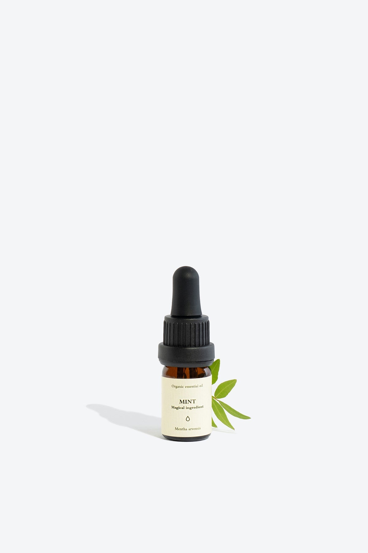 MINT essential oil - AuraLabs